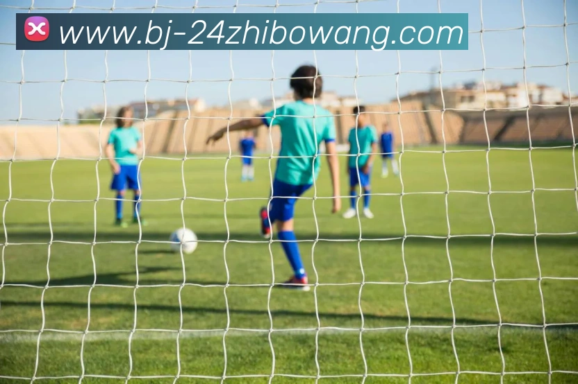 多媒体互动体验